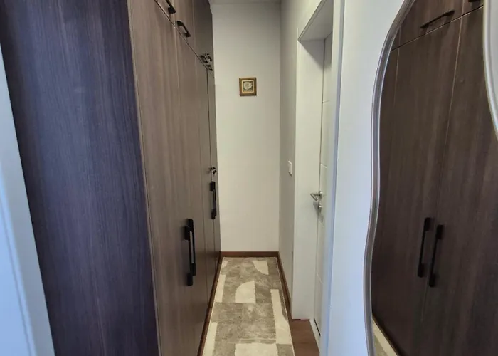 アパート Avram *